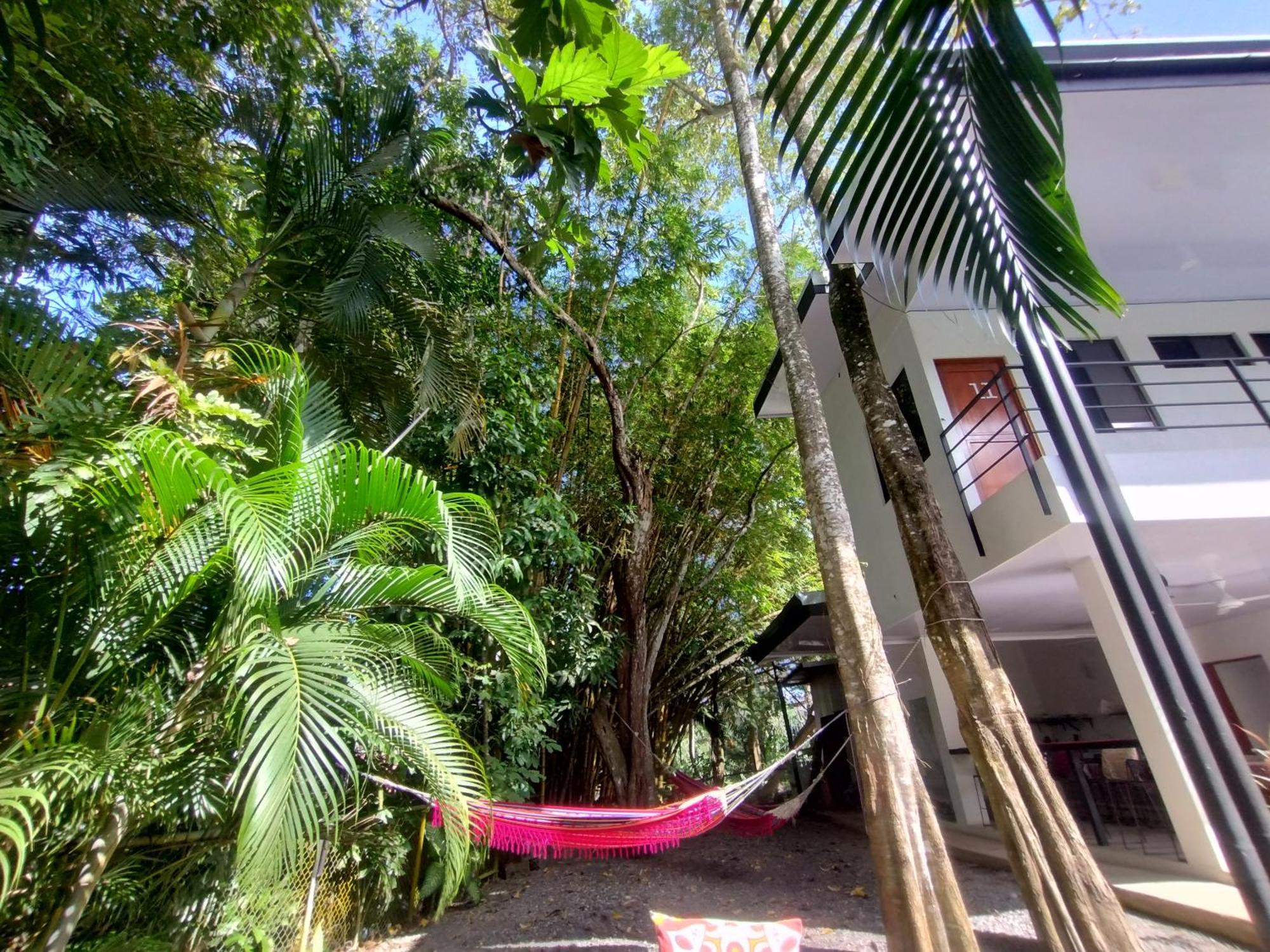 Casajungla Hostel جاكو المظهر الخارجي الصورة
