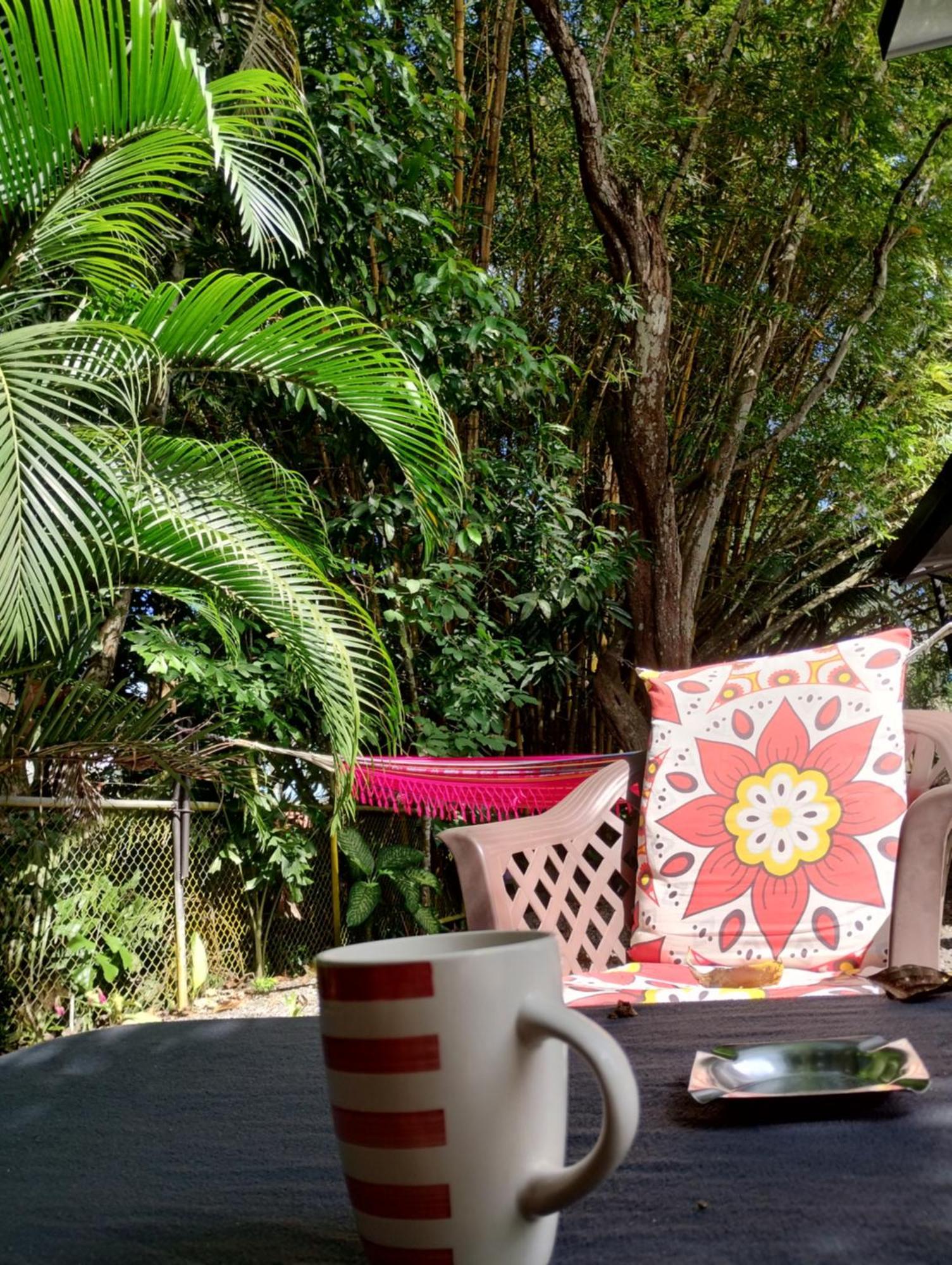 Casajungla Hostel جاكو المظهر الخارجي الصورة